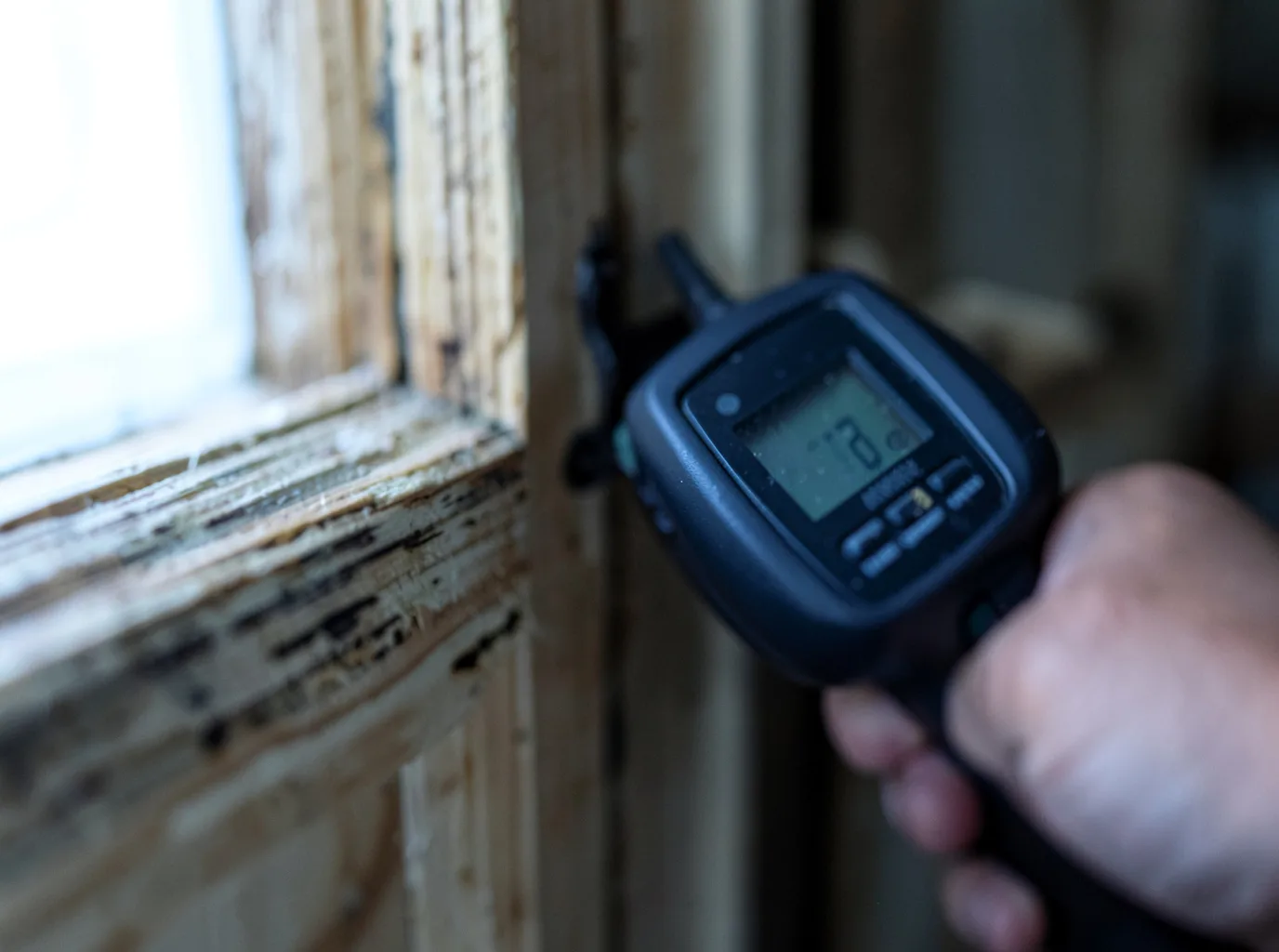 Moisture Inspection And Documentation in Cable, OH
